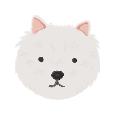 westie dog face